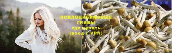 винт Новозыбков