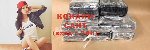 винт Новозыбков