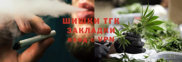 индика Нефтекумск