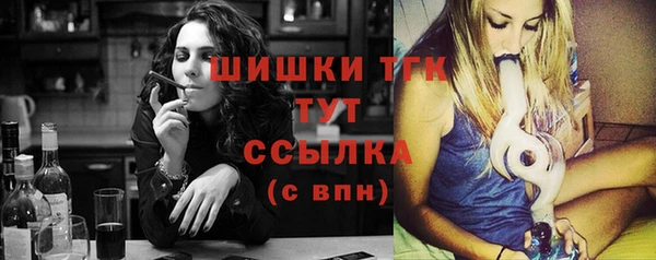индика Нефтекумск