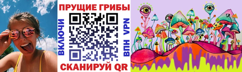 Псилоцибиновые грибы Psilocybine cubensis  Нахабино 